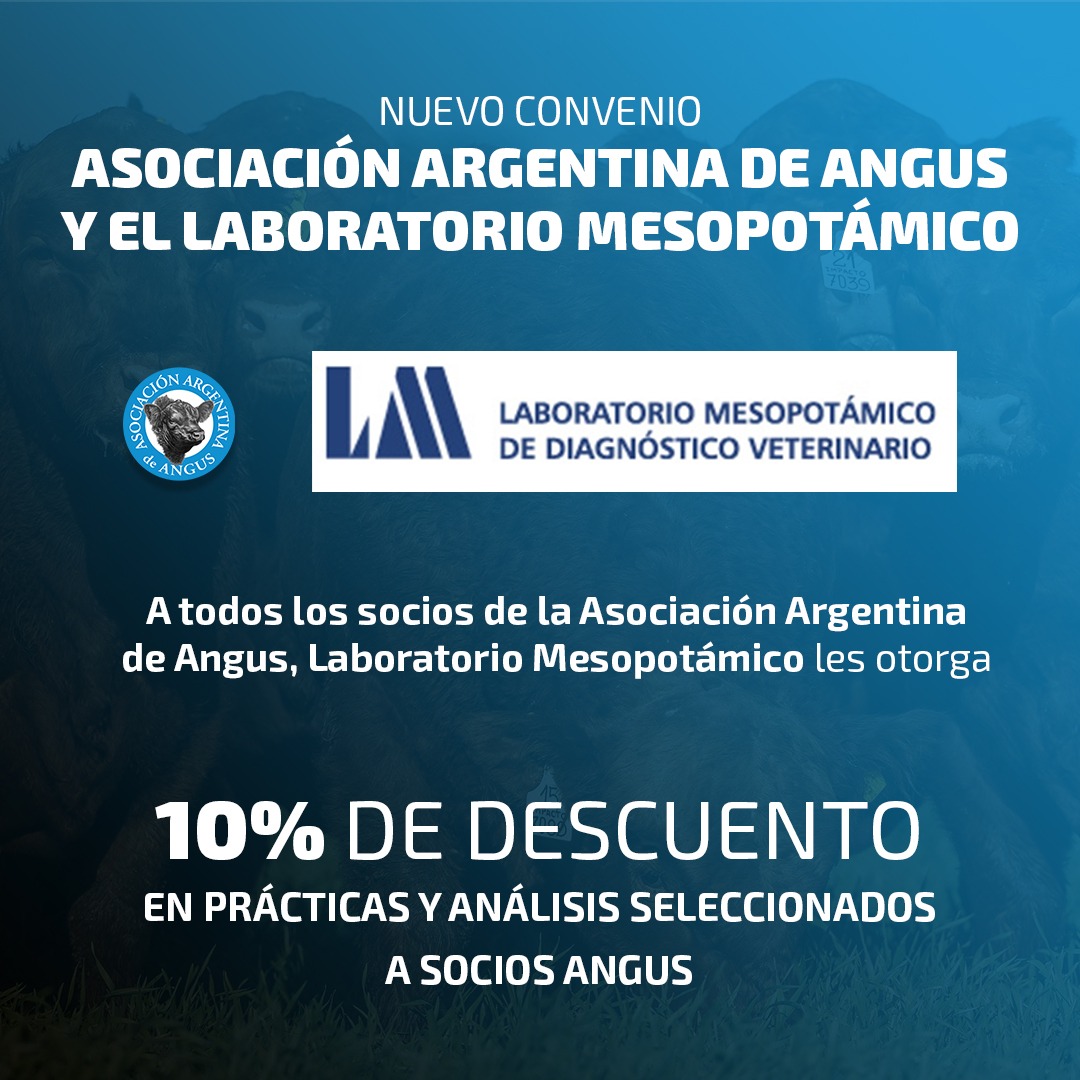 LABORATORIO MESOPOTAMICO